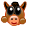 Pony