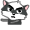 Skunk